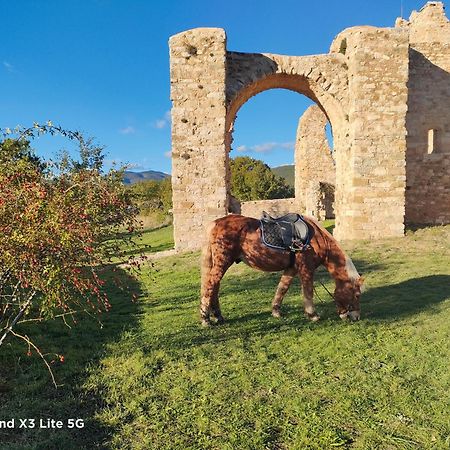 Gite A La Ferme Ongles Bagian luar foto