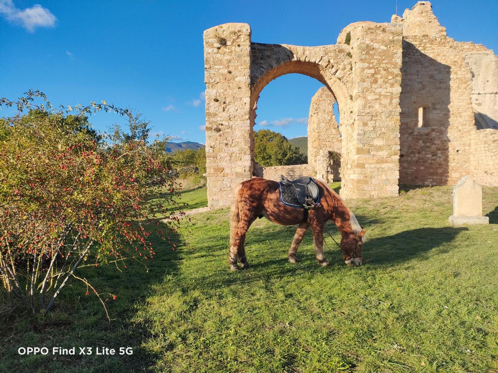 Gite A La Ferme Ongles Bagian luar foto