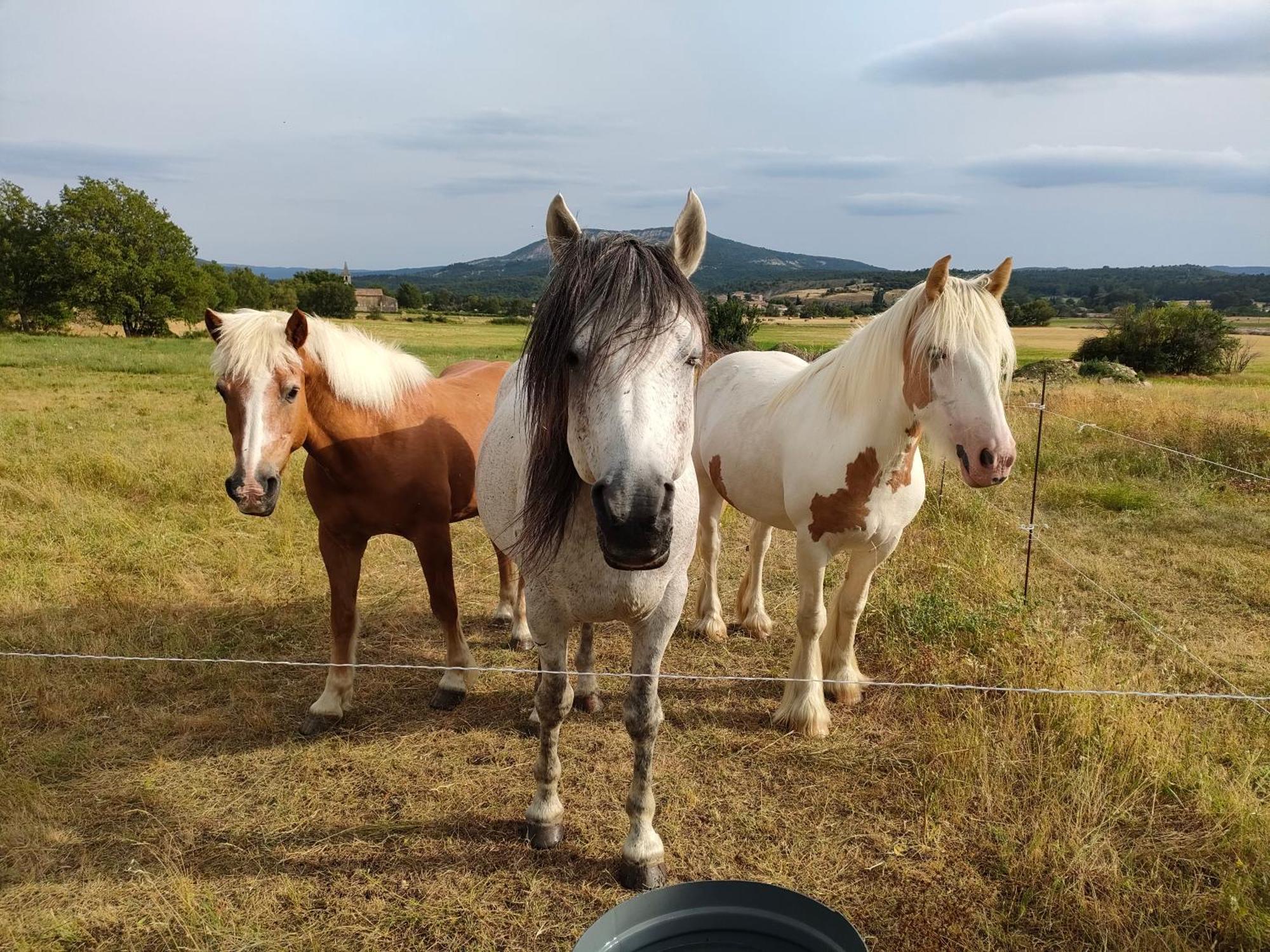 Gite A La Ferme Ongles Bagian luar foto
