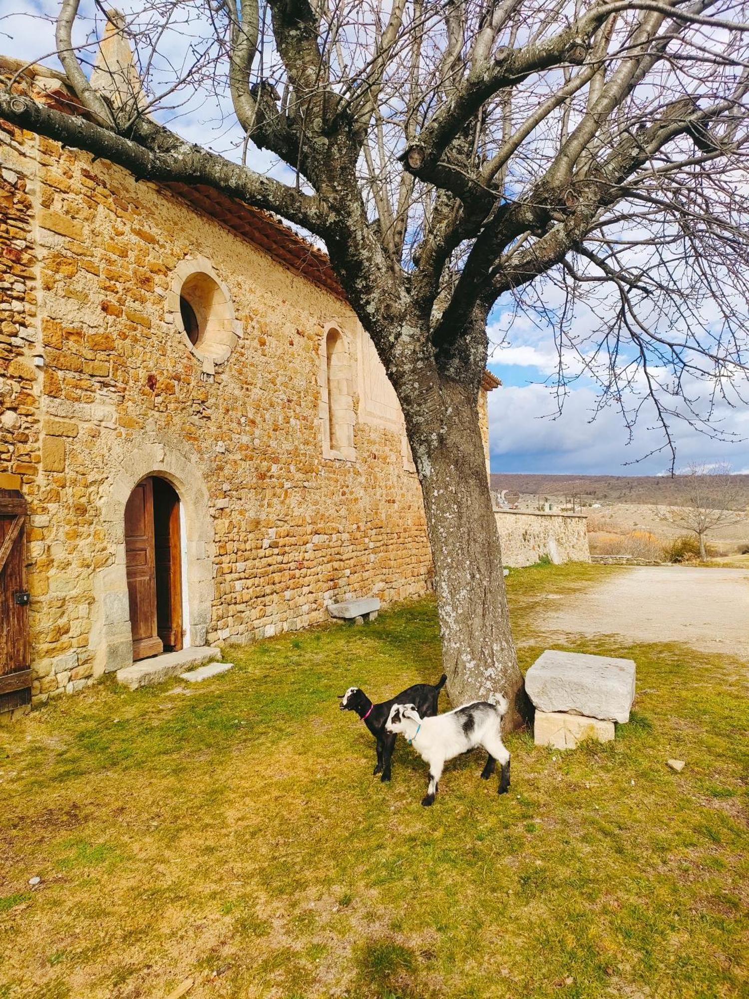 Gite A La Ferme Ongles Bagian luar foto