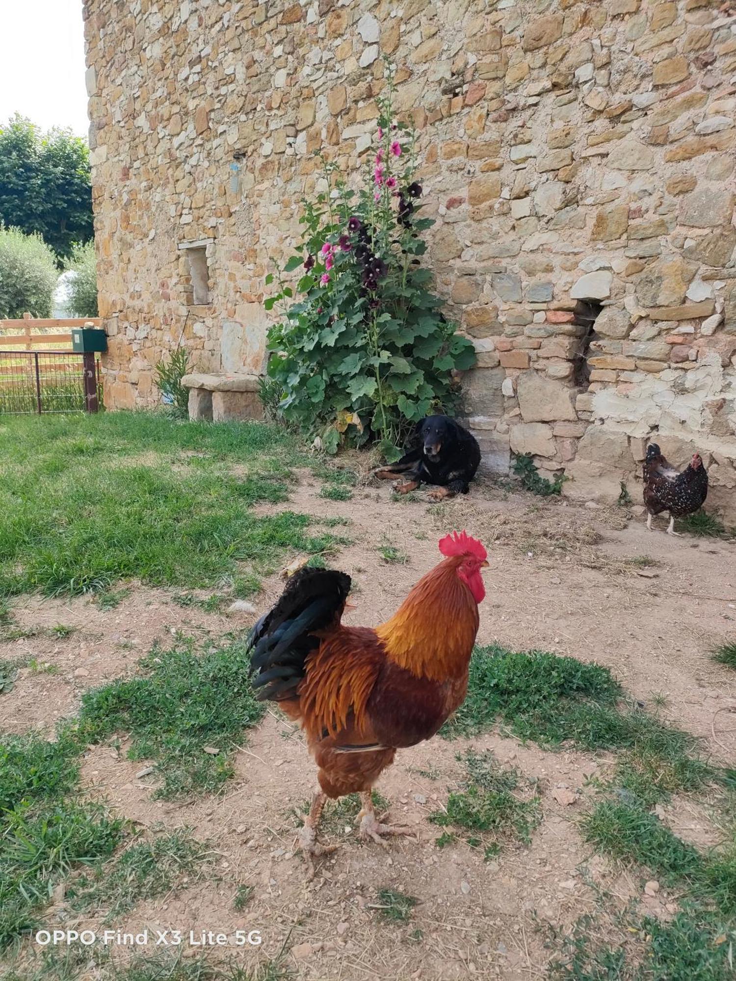 Gite A La Ferme Ongles Bagian luar foto